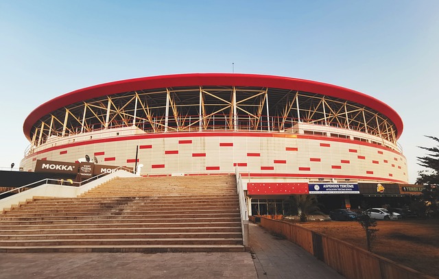 弗洛伊德 弗洛伊德