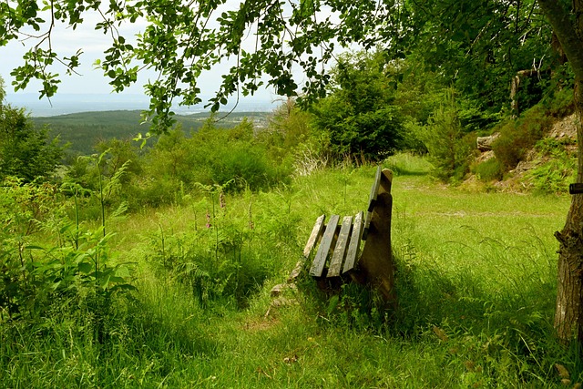 球员的健康 球员的健康