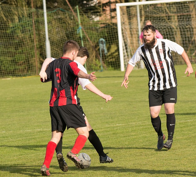 应对类似状 应对类似状