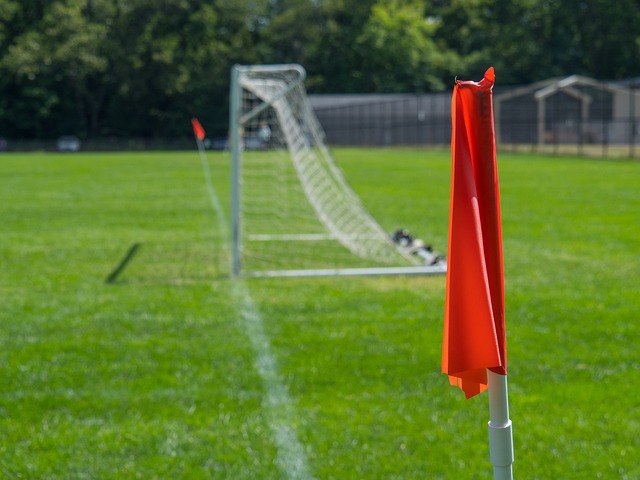 动明星球员 动明星球员