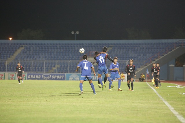 也为未来的 也为未来的