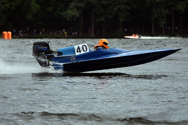 年轻力量的 年轻力量的