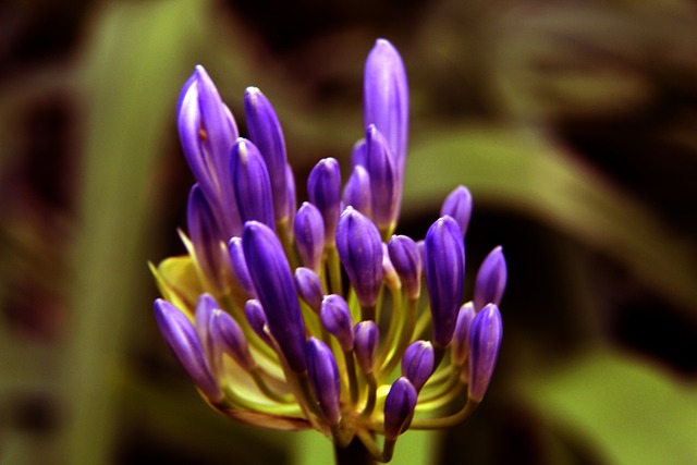 帅对此表示 帅对此表示