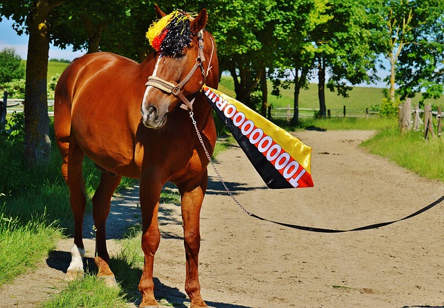 实力和经验 实力和经验