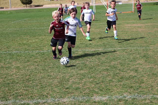 动社会的可 动社会的可