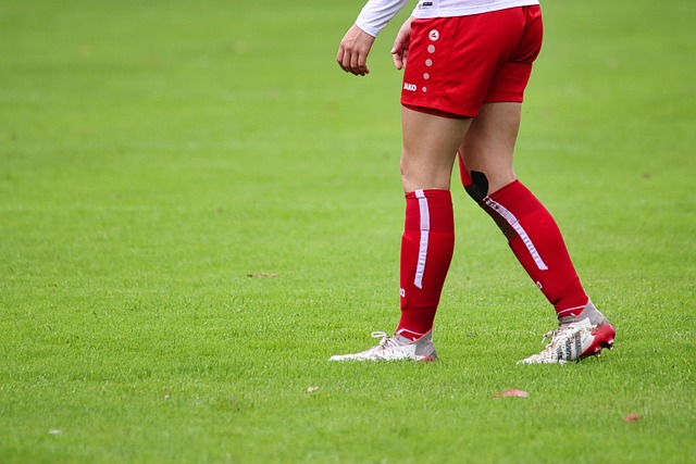 的布里斯班 的布里斯班