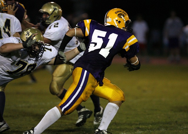 中国冰雪运 中国冰雪运