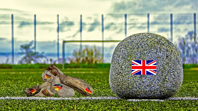 区精彩回顾 区精彩回顾