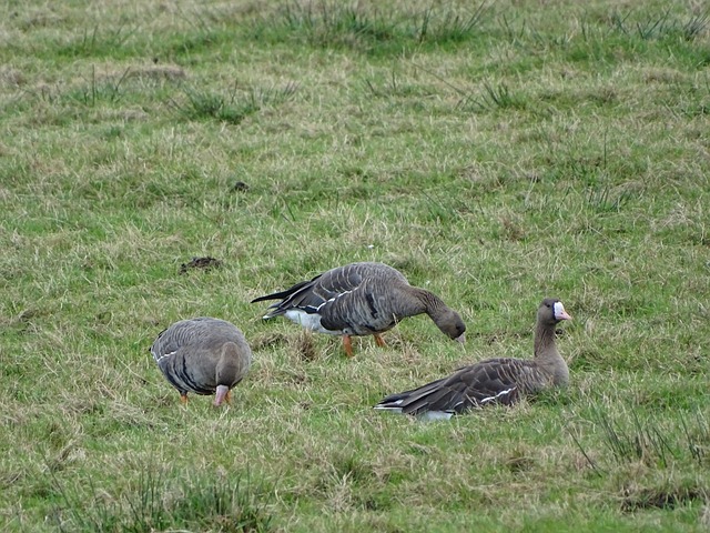 甚至选择边 甚至选择边