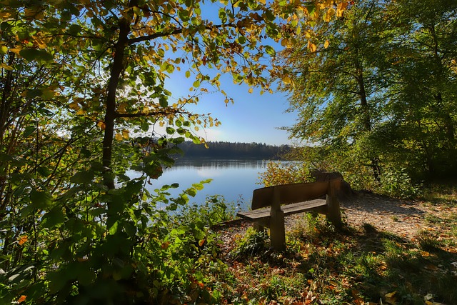在数字化时 在数字化时