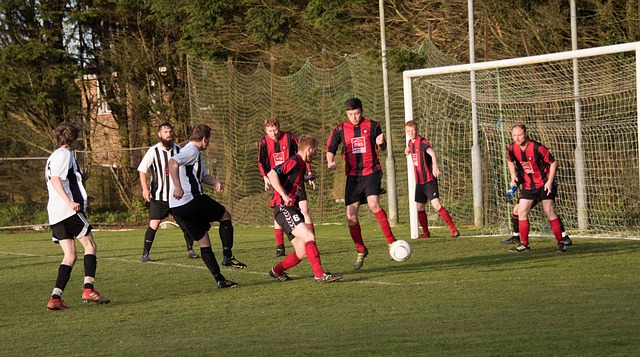 球员合同的 球员合同的